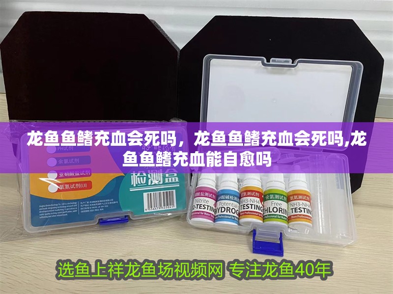 魚缸用增氧泵價格是多少:魚缸增氧機-xtrac增氧機-xtrac增氧機 龍魚魚鰭充血會死嗎,龍魚魚鰭充血會死嗎,龍魚魚鰭充血能自愈嗎 龍魚百科 龍魚魚鰭充血會死嗎,龍魚魚鰭充血會死嗎,龍魚魚鰭充血能自愈嗎 龍魚魚鰭充血會死嗎,龍魚魚鰭充血會死嗎,龍魚魚鰭充血能自愈嗎 龍魚百科