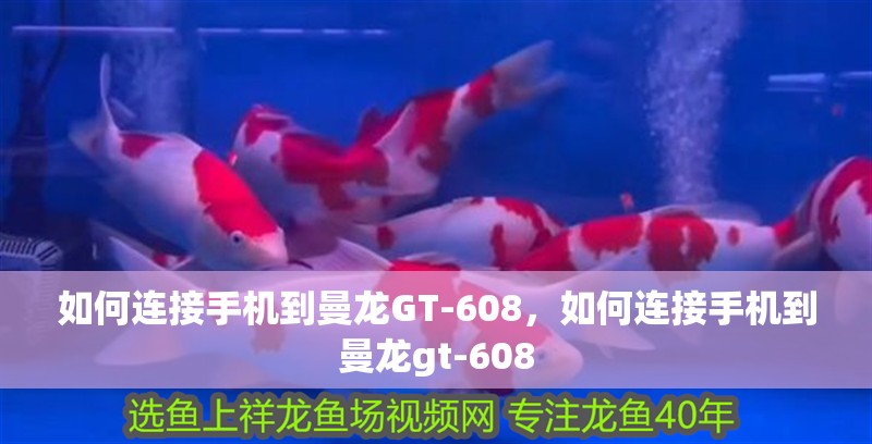 如何連接手機(jī)到曼龍GT-608，如何連接手機(jī)到曼龍gt-608