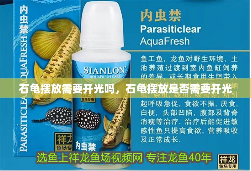 石龜擺放需要開光嗎，石龜擺放是否需要開光