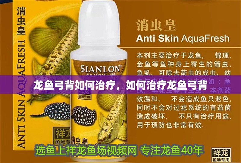 龍魚弓背如何治療，如何治療龍魚弓背