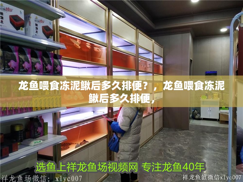 龍魚喂食凍泥鰍后多久排便？，龍魚喂食凍泥鰍后多久排便，