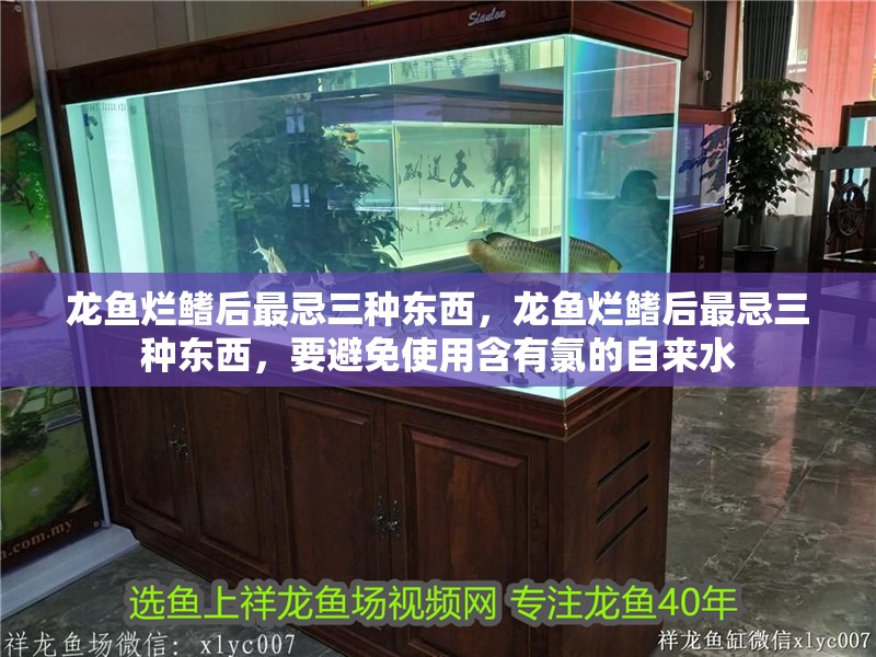 龍魚爛鰭后最忌三種東西，龍魚爛鰭后最忌三種東西，要避免使用含有氯的自來水