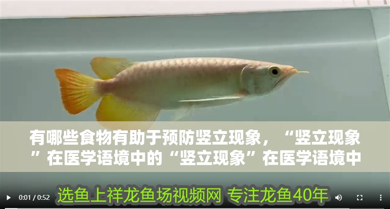 龍能辟邪嗎 龍能辟邪嗎 龍魚百科