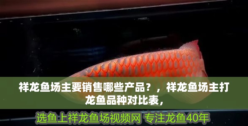 祥龍魚場主要銷售哪些產品？，祥龍魚場主打龍魚品種對比表， 祥龍魚場主要銷售哪些產品？，祥龍魚場主打龍魚品種對比表， 龍魚百科