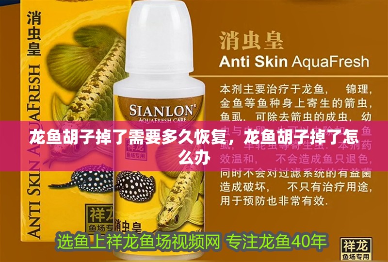 龍魚干蝦有營養(yǎng)嗎 龍魚胡子掉了需要多久恢復(fù),龍魚胡子掉了怎么辦 龍魚百科 龍魚胡子掉了需要多久恢復(fù),龍魚胡子掉了怎么辦 龍魚胡子掉了需要多久恢復(fù),龍魚胡子掉了怎么辦 龍魚百科