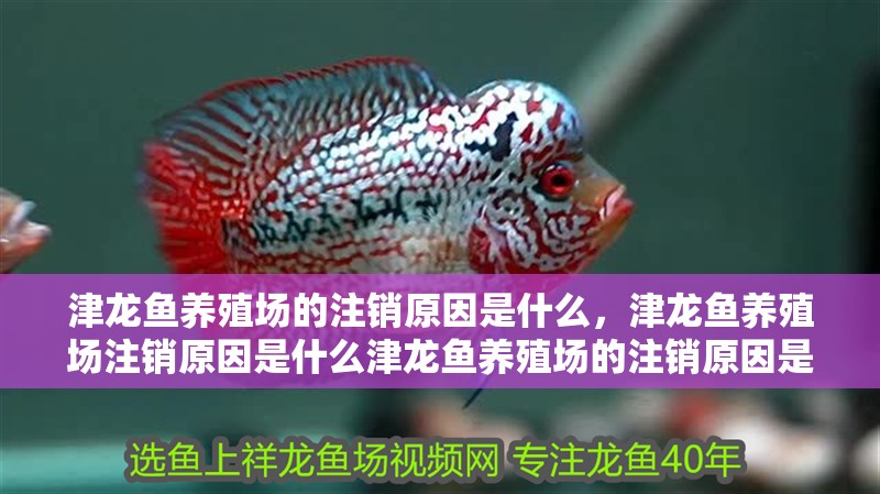 津龍魚養殖場的注銷原因是什么，津龍魚養殖場注銷原因是什么津龍魚養殖場的注銷原因是什么