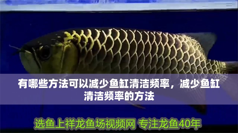 有哪些方法可以減少魚缸清潔頻率，減少魚缸清潔頻率的方法