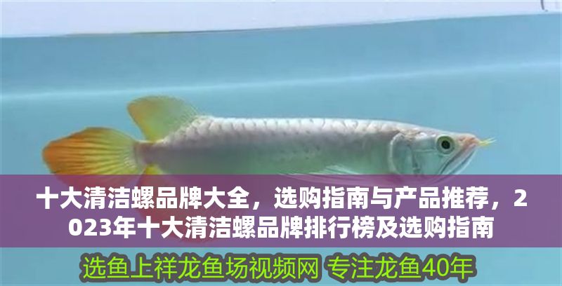 十大清潔螺品牌大全，選購(gòu)指南與產(chǎn)品推薦，2023年十大清潔螺品牌排行榜及選購(gòu)指南