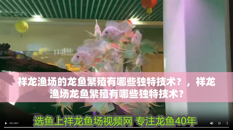 祥龍漁場的龍魚繁殖有哪些獨特技術？，祥龍漁場龍魚繁殖有哪些獨特技術？
