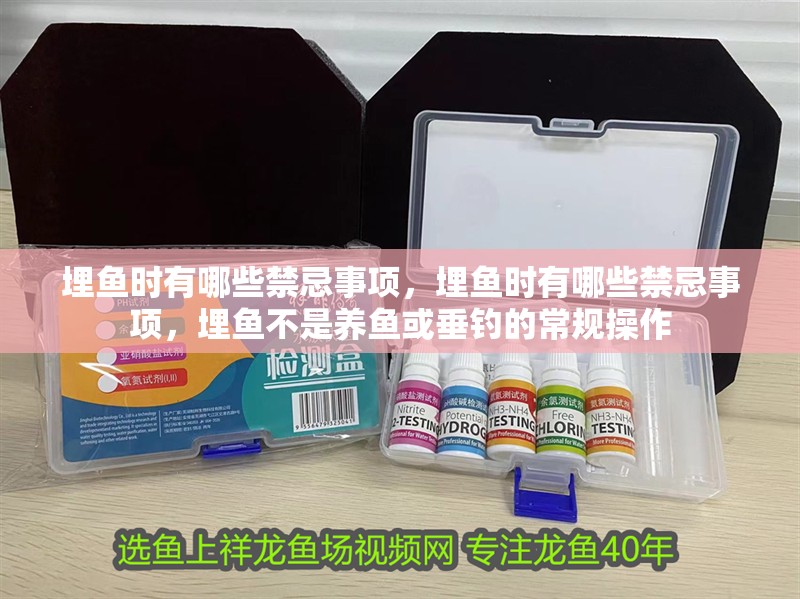 埋魚時有哪些禁忌事項，埋魚時有哪些禁忌事項，埋魚不是養(yǎng)魚或垂釣的常規(guī)操作 埋魚時有哪些禁忌事項，埋魚時有哪些禁忌事項，埋魚不是養(yǎng)魚或垂釣的常規(guī)操作 龍魚百科
