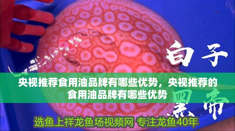 央視推薦食用油品牌有哪些優勢，央視推薦的食用油品牌有哪些優勢