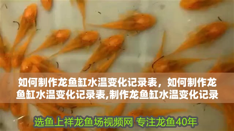 如何制作龍魚缸水溫變化記錄表，如何制作龍魚缸水溫變化記錄表,制作龍魚缸水溫變化記錄表