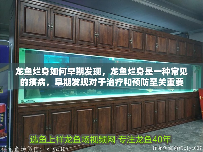 龍魚爛身如何早期發(fā)現(xiàn)，龍魚爛身是一種常見的疾病，早期發(fā)現(xiàn)對(duì)于治療和預(yù)防至關(guān)重要