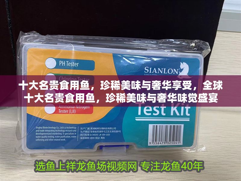 十大名貴食用魚，珍稀美味與奢華享受，全球十大名貴食用魚，珍稀美味與奢華味覺(jué)盛宴