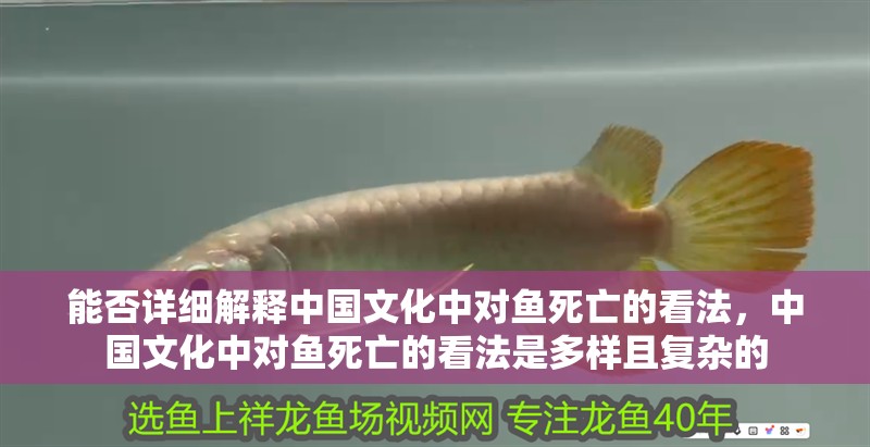 能否詳細解釋中國文化中對魚死亡的看法，中國文化中對魚死亡的看法是多樣且復雜的