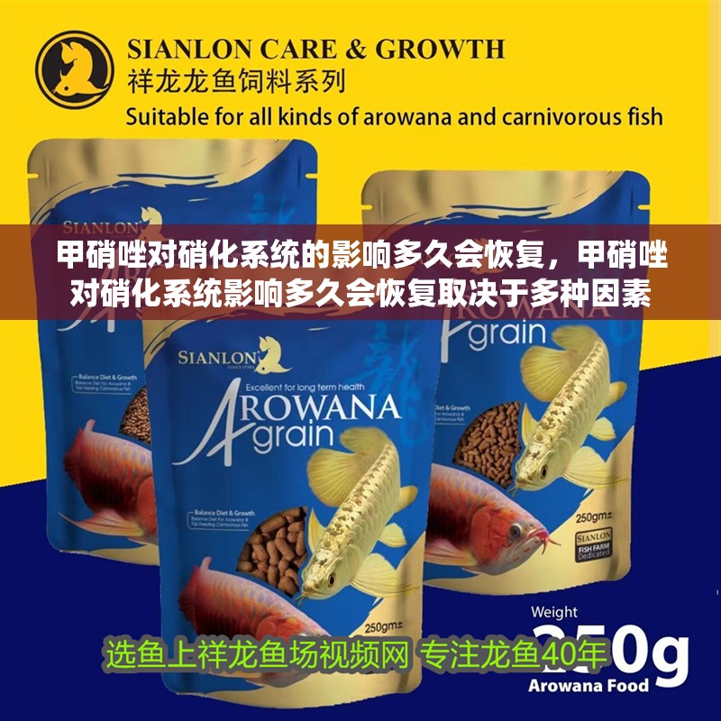 甲硝唑?qū)ο趸到y(tǒng)的影響多久會(huì)恢復(fù)，甲硝唑?qū)ο趸到y(tǒng)影響多久會(huì)恢復(fù)取決于多種因素