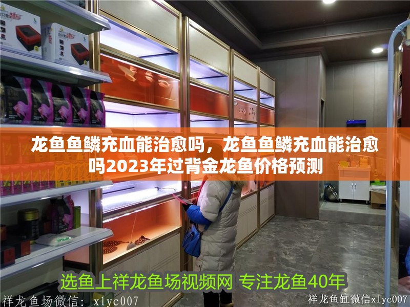 龍魚魚鱗充血能治愈嗎，龍魚魚鱗充血能治愈嗎2023年過背金龍魚價格預測