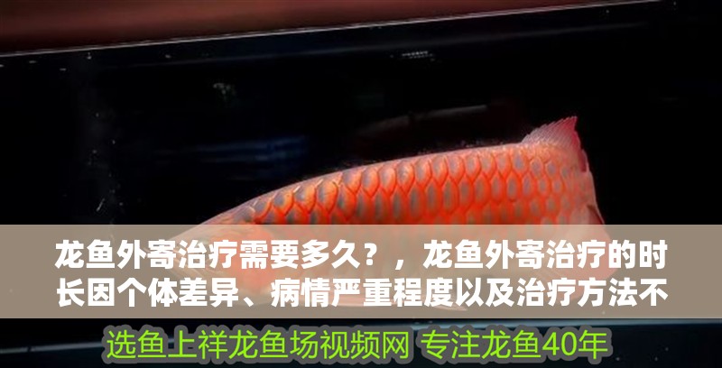 龍魚外寄治療需要多久？，龍魚外寄治療的時長因個體差異、病情嚴重程度以及治療方法不同而有所變化