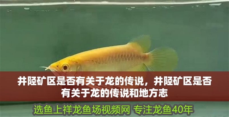 井陘礦區(qū)是否有關于龍的傳說，井陘礦區(qū)是否有關于龍的傳說和地方志