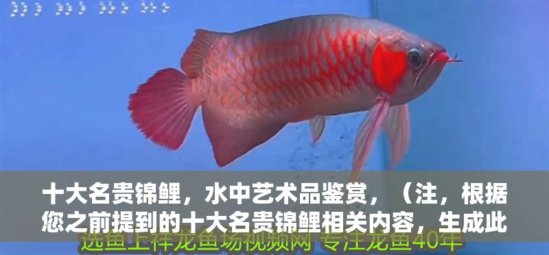 十大名貴錦鯉，水中藝術品鑒賞，（注，根據您之前提到的十大名貴錦鯉相關內容，生成此標題。若需調整方向，可補充說明具體內容要求。）