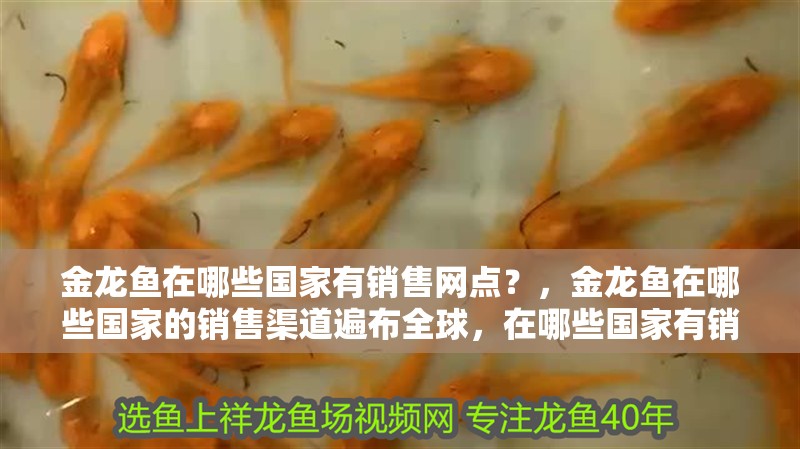 我的虎魚真菌感染了要怎么處理 金龍魚在哪些國家有銷售網點?,金龍魚在哪些國家的銷售渠道遍布全球,在哪些國家有銷售網點 龍魚百科 金龍魚在哪些國家有銷售網點?,金龍魚在哪些國家的銷售渠道遍布全球,在哪些國家有銷售網點 金龍魚在哪些國家有銷售網點?,金龍魚在哪些國家的銷售渠道遍布全球,在哪些國家有銷售網點 龍魚百科