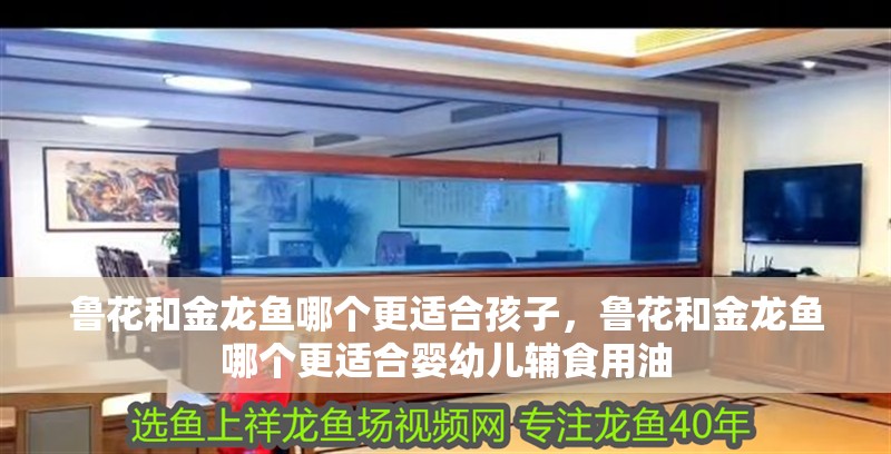 魯花和金龍魚哪個更適合孩子，魯花和金龍魚哪個更適合嬰幼兒輔食用油