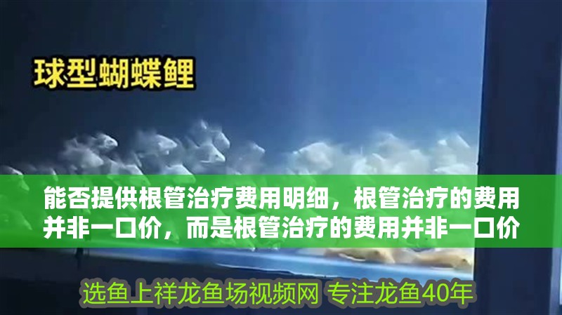 能否提供根管治療費用明細(xì)，根管治療的費用并非一口價，而是根管治療的費用并非一口價