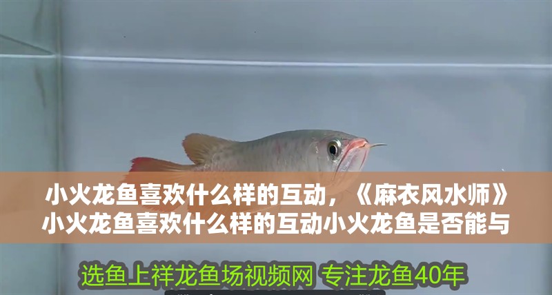 給大魚缸換水的作文:體驗給大魚缸換水的樂趣:體驗給大魚缸換水:給大魚缸換水的作文 小火龍魚喜歡什么樣的互動,《麻衣風水師》小火龍魚喜歡什么樣的互動小火龍魚是否能與人互動 龍魚百科 小火龍魚喜歡什么樣的互動,《麻衣風水師》小火龍魚喜歡什么樣的互動小火龍魚是否能與人互動 小火龍魚喜歡什么樣的互動,《麻衣風水師》小火龍魚喜歡什么樣的互動小火龍魚是否能與人互動 龍魚百科