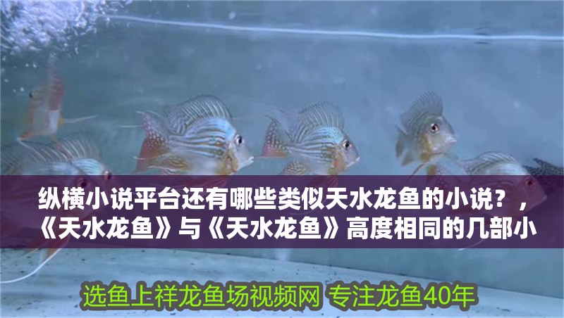 縱橫小說平臺還有哪些類似天水龍魚的小說？，《天水龍魚》與《天水龍魚》高度相同的幾部小說 縱橫小說平臺還有哪些類似天水龍魚的小說？，《天水龍魚》與《天水龍魚》高度相同的幾部小說 龍魚百科