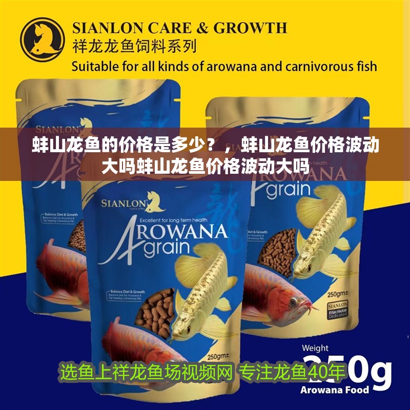 蚌山龍魚的價格是多少？，蚌山龍魚價格波動大嗎蚌山龍魚價格波動大嗎