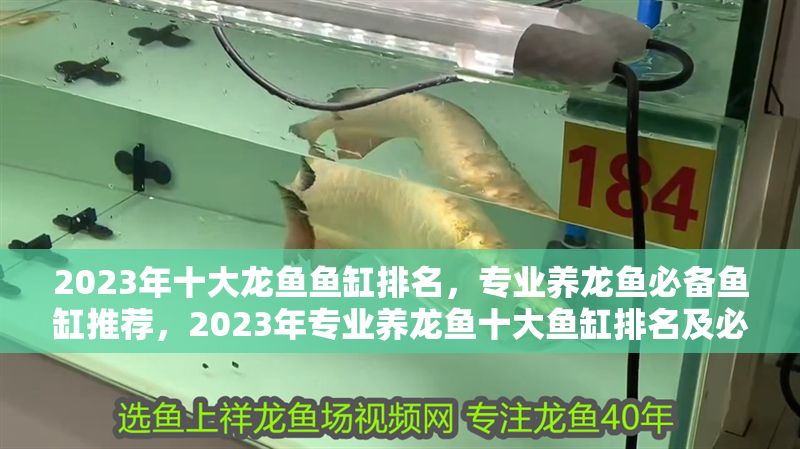2023年十大龍魚魚缸排名，專業養龍魚必備魚缸推薦，2023年專業養龍魚十大魚缸排名及必備推薦