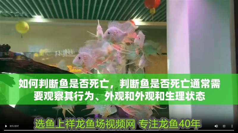 我的虎魚真菌感染了要怎么處理 如何判斷魚是否死亡,判斷魚是否死亡通常需要觀察其行為、外觀和外觀和生理狀態 龍魚百科 如何判斷魚是否死亡,判斷魚是否死亡通常需要觀察其行為、外觀和外觀和生理狀態 如何判斷魚是否死亡,判斷魚是否死亡通常需要觀察其行為、外觀和外觀和生理狀態 龍魚百科