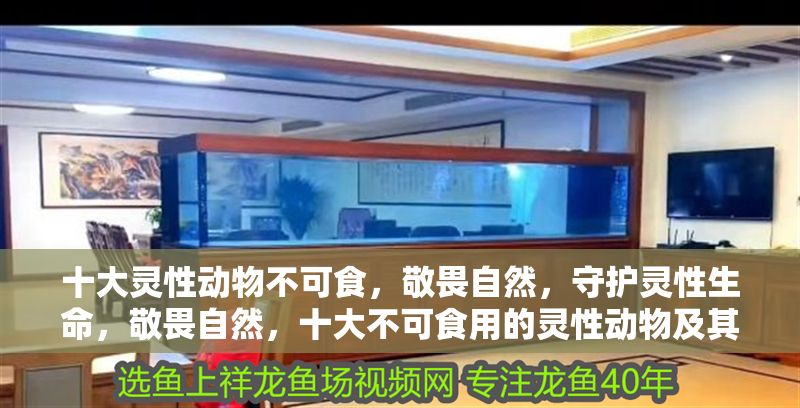 十大靈性動物不可食，敬畏自然，守護靈性生命，敬畏自然，十大不可食用的靈性動物及其守護意義