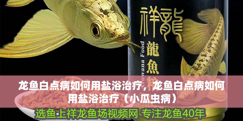 詳細閱讀:龍魚白點病如何用鹽浴治療,龍魚白點病如何用鹽浴治療(小瓜蟲病) 龍魚白點病如何用鹽浴治療,龍魚白點病如何用鹽浴治療(小瓜蟲病)