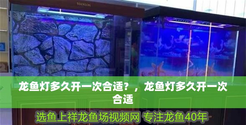 龍魚燈多久開一次合適？，龍魚燈多久開一次合適