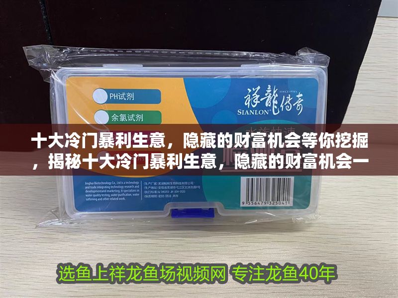 十大冷門暴利生意，隱藏的財富機會等你挖掘，揭秘十大冷門暴利生意，隱藏的財富機會一網打盡！