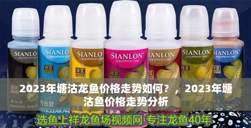 2023年塘沽龍魚價格走勢如何？，2023年塘沽魚價格走勢分析