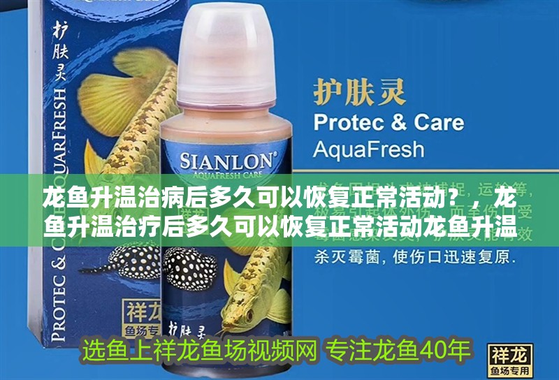 龍魚升溫治病后多久可以恢復正常活動？，龍魚升溫治療后多久可以恢復正常活動龍魚升溫治療后多久可以喂食