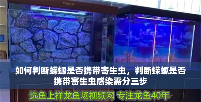 如何判斷蠑螈是否攜帶寄生蟲，判斷蠑螈是否攜帶寄生蟲感染需分三步