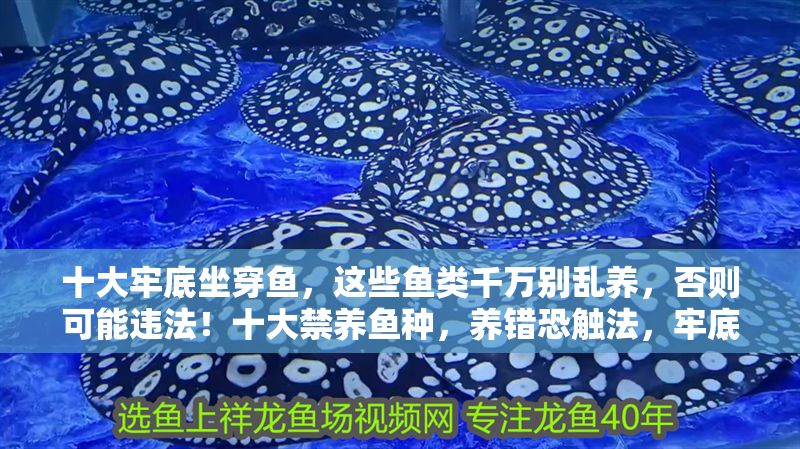 十大牢底坐穿魚，這些魚類千萬別亂養，否則可能違法！十大禁養魚種，養錯恐觸法，牢底坐穿風險高！