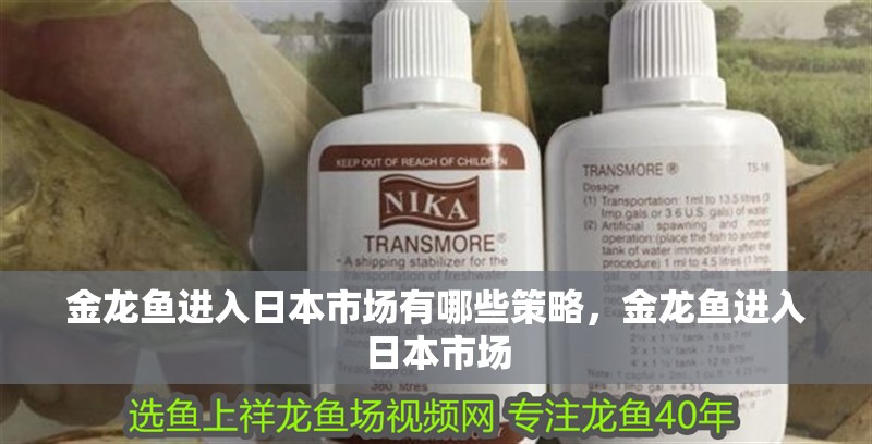 金龍魚進入日本市場有哪些策略，金龍魚進入日本市場