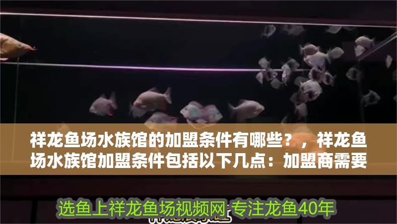 祥龍魚場水族館的加盟條件有哪些？，祥龍魚場水族館加盟條件包括以下幾點(diǎn)：加盟商需要具備一定的經(jīng)濟(jì)實(shí)力和商業(yè)背景