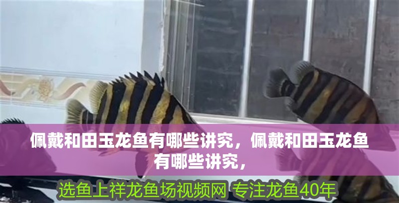 佩戴和田玉龍魚有哪些講究，佩戴和田玉龍魚有哪些講究，