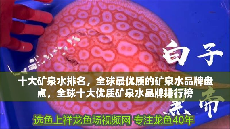 十大礦泉水排名，全球最優(yōu)質(zhì)的礦泉水品牌盤點(diǎn)，全球十大優(yōu)質(zhì)礦泉水品牌排行榜