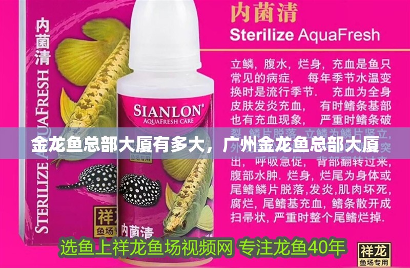 金龍魚(yú)總部大廈有多大，廣州金龍魚(yú)總部大廈