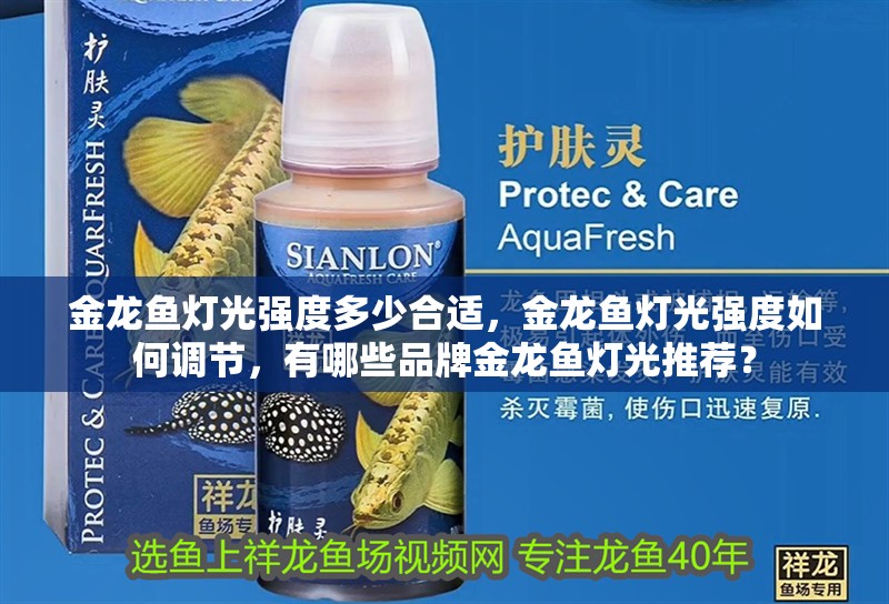 金龍魚燈光強度多少合適，金龍魚燈光強度如何調節，有哪些品牌金龍魚燈光推薦？