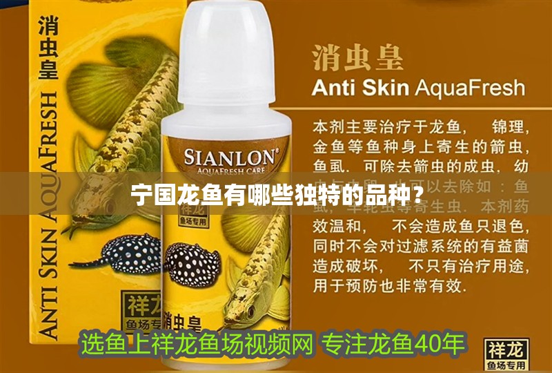 詳細(xì)閱讀:寧國(guó)龍魚有哪些獨(dú)特的品種? 寧國(guó)龍魚有哪些獨(dú)特的品種?