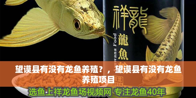 魚缸過濾器選購指南:自制魚缸過濾器魚缸上置過濾器對于養魚愛好者的必備知識 望謨縣有沒有龍魚養殖?,望謨縣有沒有龍魚養殖項目 龍魚百科 望謨縣有沒有龍魚養殖?,望謨縣有沒有龍魚養殖項目 望謨縣有沒有龍魚養殖?,望謨縣有沒有龍魚養殖項目 龍魚百科