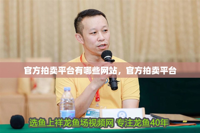 詳細閱讀:官方拍賣平臺有哪些網站,官方拍賣平臺 官方拍賣平臺有哪些網站,官方拍賣平臺