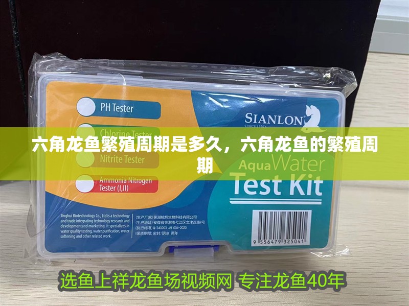 詳細閱讀:六角龍魚繁殖周期是多久,六角龍魚的繁殖周期 六角龍魚繁殖周期是多久,六角龍魚的繁殖周期